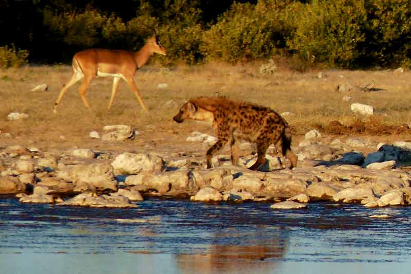 Namibia